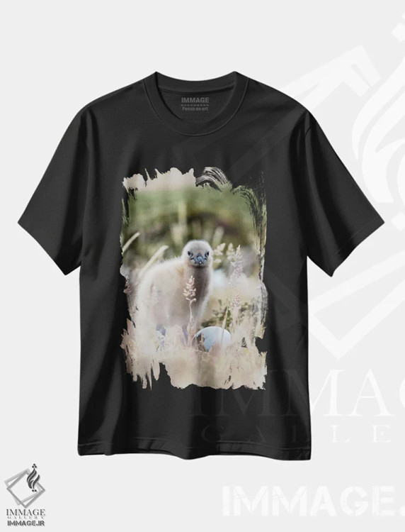 تیشرت مشکی طرح دار – تیشرت طبیعت ,Falkland Islands.,جوجه اسکوآ فالکلند، جزایر فالکلند اثر مارتین زویک فروشگاه ایماژ