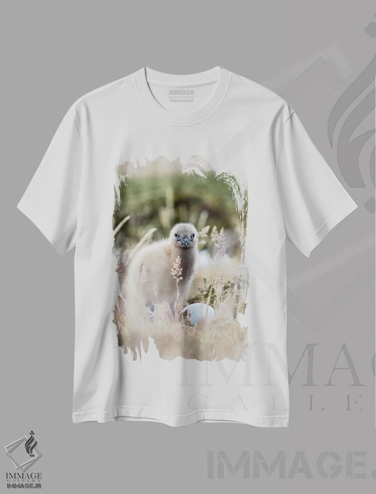 تیشرت سفید طرح دار – تیشرت طبیعت ,Falkland Islands.,جوجه اسکوآ فالکلند، جزایر فالکلند اثر مارتین زویک immage.ir