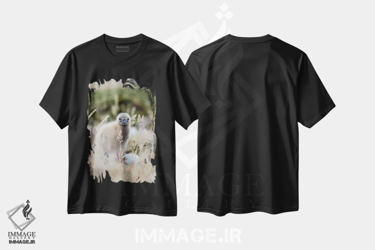 تیشرت مشکی طرح دار – تیشرت طبیعت ,Falkland Islands.,جوجه اسکوآ فالکلند، جزایر فالکلند اثر مارتین زویک فروشگاه ایماژ