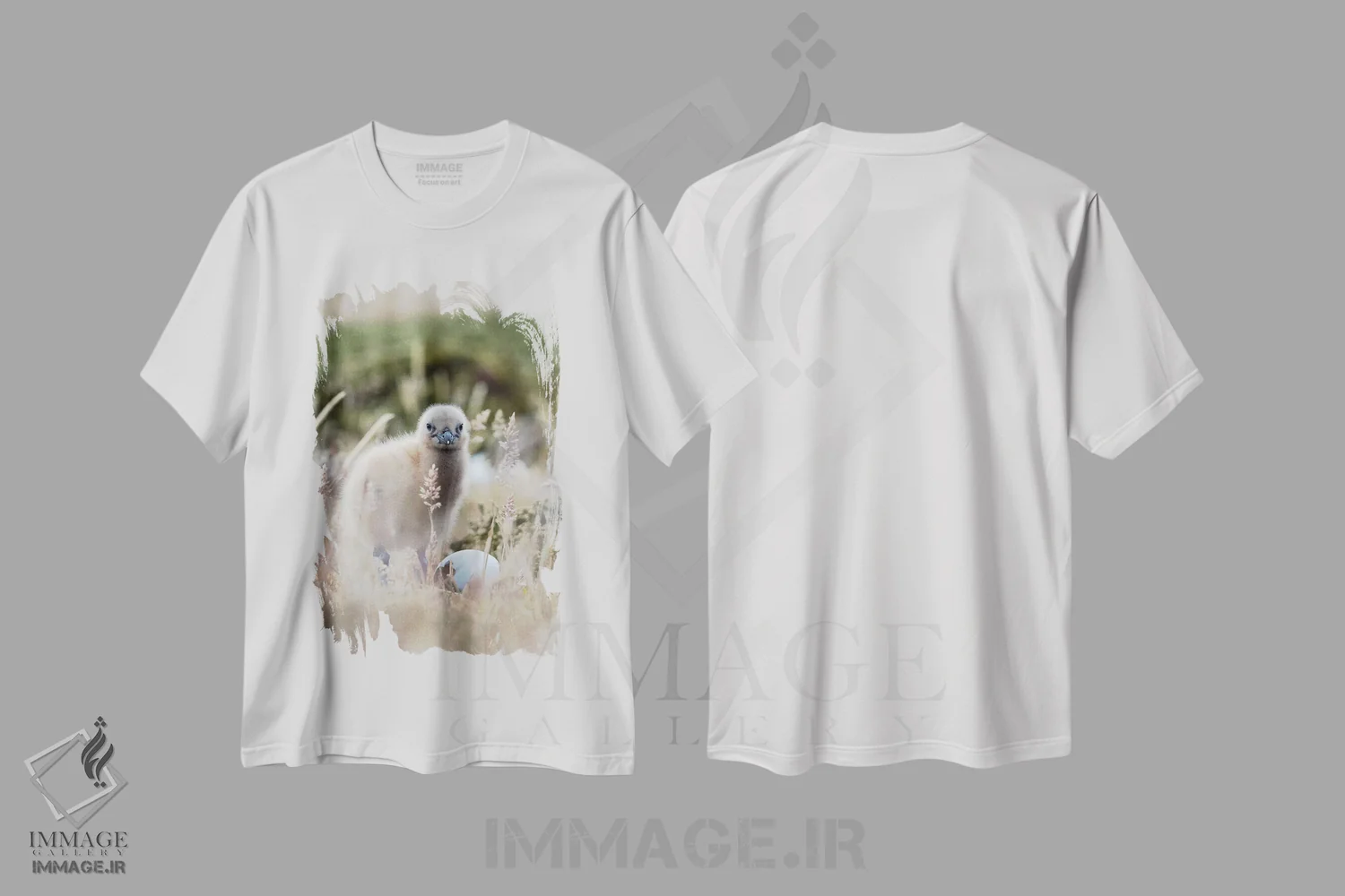 تیشرت سفید طرح دار – تیشرت طبیعت ,Falkland Islands.,جوجه اسکوآ فالکلند، جزایر فالکلند اثر مارتین زویک immage.ir
