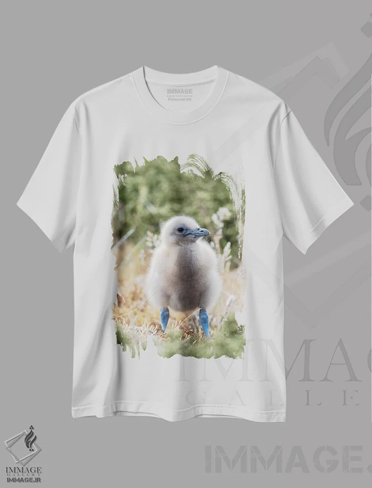 تیشرت سفید طرح دار – تیشرت حیوانات ,Falkland Islands.,جوجه اسکوآ فالکلند یا اسکوآ قهوه ای؛ گونه ای از اسکوآهای بزرگ مناطق قطبی و زیرقطبی جنوبی، جزایر فالکلند اثر مارتین زویک فروشگاه ایماژ