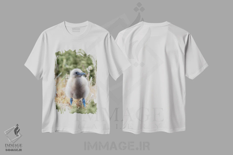 تیشرت سفید طرح دار – تیشرت حیوانات ,Falkland Islands.,جوجه اسکوآ فالکلند یا اسکوآ قهوه ای؛ گونه ای از اسکوآهای بزرگ مناطق قطبی و زیرقطبی جنوبی، جزایر فالکلند اثر مارتین زویک فروشگاه ایماژ