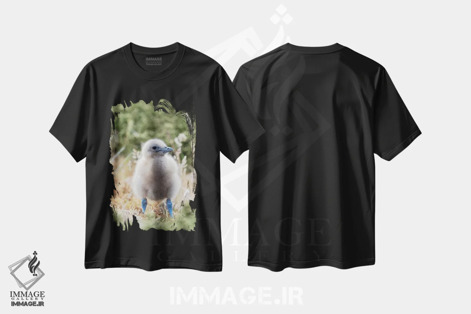 تیشرت مشکی طرح دار – تیشرت حیوانات ,Falkland Islands.,جوجه اسکوآ فالکلند یا اسکوآ قهوه ای؛ گونه ای از اسکوآهای بزرگ مناطق قطبی و زیرقطبی جنوبی، جزایر فالکلند اثر مارتین زویک immage.ir