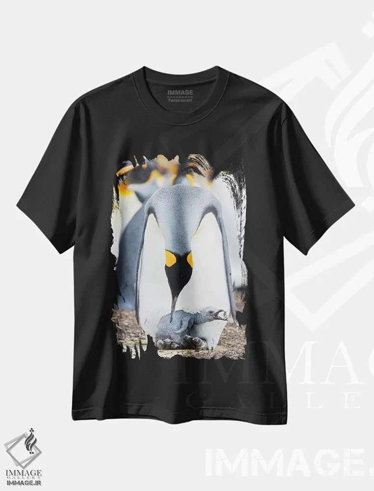 تیشرت مشکی طرح دار – تیشرت حیوانات ,Falkland Islands.,جوجه پنگوئن شاه در حال درخواست غذا در حالی که روی پای والدین استراحت می کند، جزایر فالکلند اثر مارتین زویک immage.ir