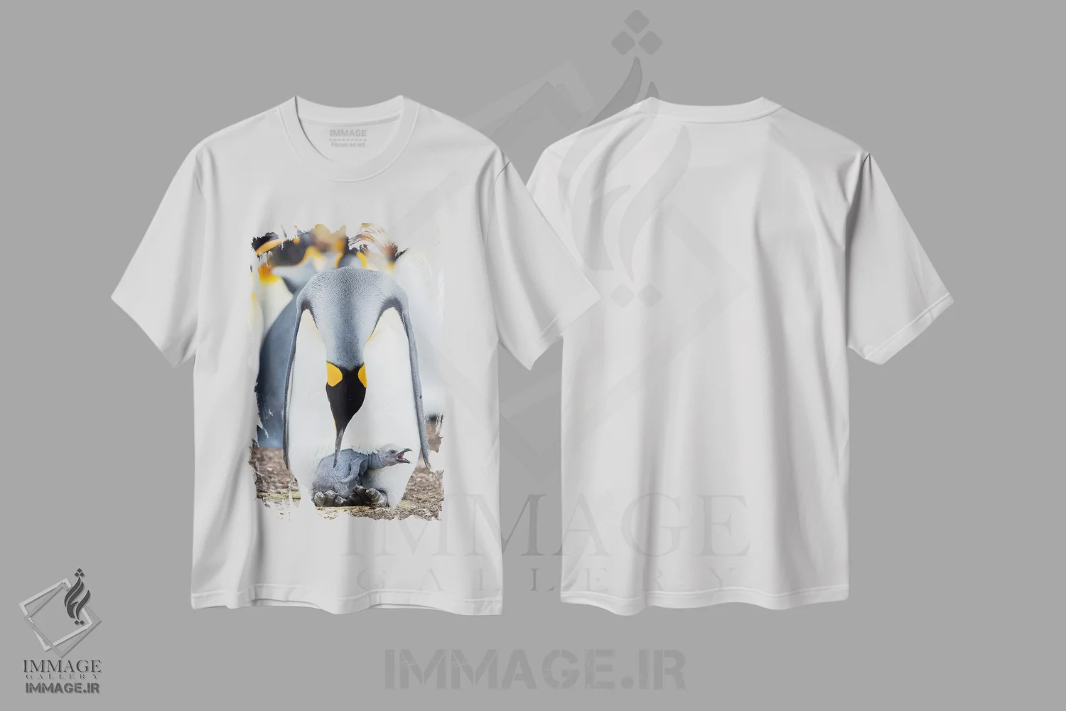تیشرت سفید طرح دار – تیشرت حیوانات ,Falkland Islands.,جوجه پنگوئن شاه در حال درخواست غذا در حالی که روی پای والدین استراحت می کند، جزایر فالکلند اثر مارتین زویک فروشگاه ایماژ