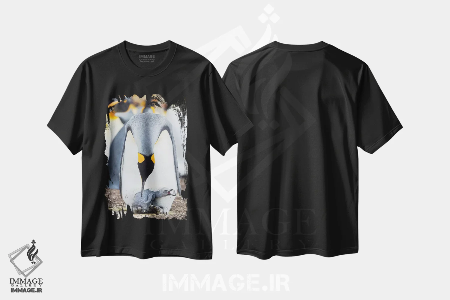 تیشرت مشکی طرح دار – تیشرت حیوانات ,Falkland Islands.,جوجه پنگوئن شاه در حال درخواست غذا در حالی که روی پای والدین استراحت می کند، جزایر فالکلند اثر مارتین زویک immage.ir