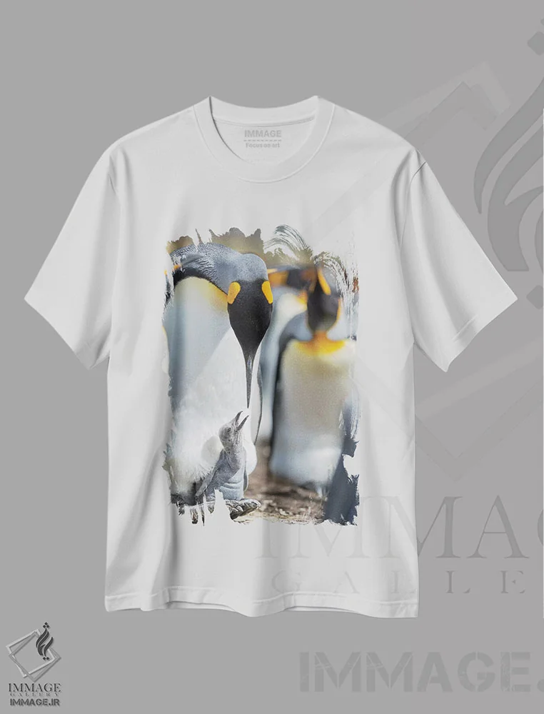 تیشرت سفید طرح دار – تیشرت حیات وحش ,Falkland Islands.,جوجه پنگوئن شاه در حال درخواست غذا در حالی که روی پای والدین استراحت می کند، جزایر فالکلند اثر مارتین زویک immage.ir