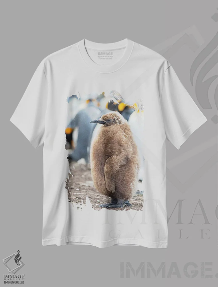 تیشرت سفید طرح دار – تیشرت حیوانات ,Falkland Islands.,جوجه پنگوئن شاه با پرهای قهوه ای، جزایر فالکلند اثر مارتین زویک فروشگاه ایماژ