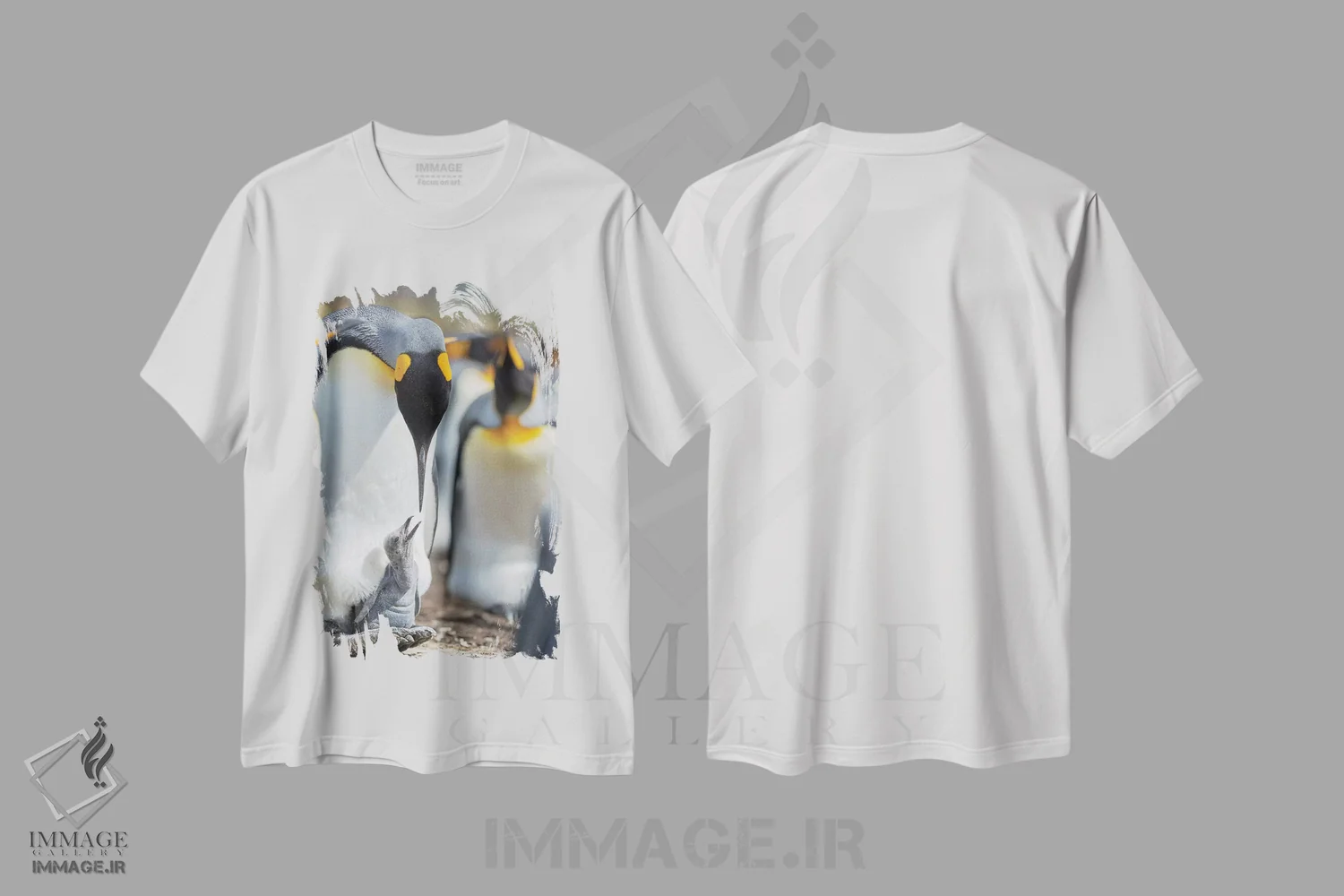 تیشرت سفید طرح دار – تیشرت حیات وحش ,Falkland Islands.,جوجه پنگوئن شاه در حال درخواست غذا در حالی که روی پای والدین استراحت می کند، جزایر فالکلند اثر مارتین زویک immage.ir