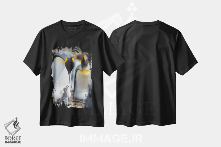 تیشرت مشکی طرح دار – تیشرت حیات وحش ,Falkland Islands.,جوجه پنگوئن شاه در حال درخواست غذا در حالی که روی پای والدین استراحت می کند، جزایر فالکلند اثر مارتین زویک فروشگاه ایماژ