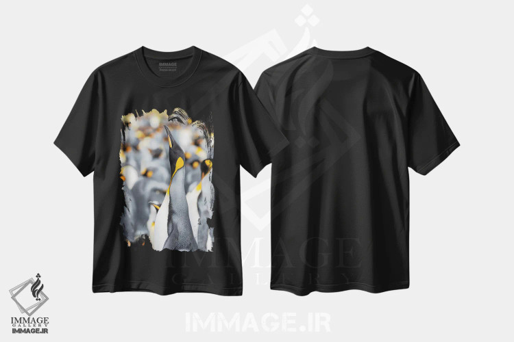 تیشرت مشکی طرح دار – تیشرت حیوانات ,پنگوئن شاه در جزایر فالکلند اثر مارتین زویک فروشگاه ایماژ