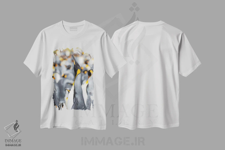 تیشرت سفید طرح دار – تیشرت حیوانات ,پنگوئن شاه در جزایر فالکلند اثر مارتین زویک immage.ir