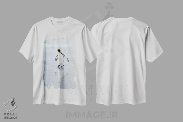 تیشرت سفید طرح دار – تیشرت حیوانات ,پنگوئن شاه در جزایر فالکلند اثر مارتین زویک فروشگاه ایماژ