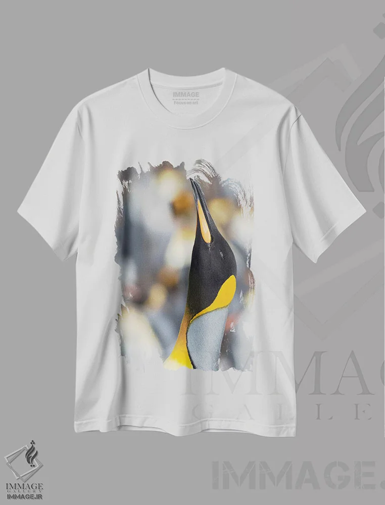 تیشرت سفید طرح دار – تیشرت حیوانات ,Falkland Islands.,پنگوئن شاه، جزایر فالکلند اثر مارتین زویک immage.ir