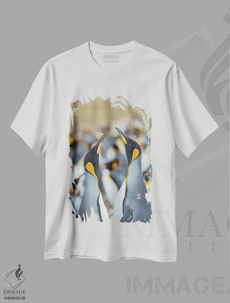 تیشرت سفید طرح دار – تیشرت حیات وحش ,Falkland Islands.,پنگوئن شاه، جزایر فالکلند اثر مارتین زویک فروشگاه ایماژ