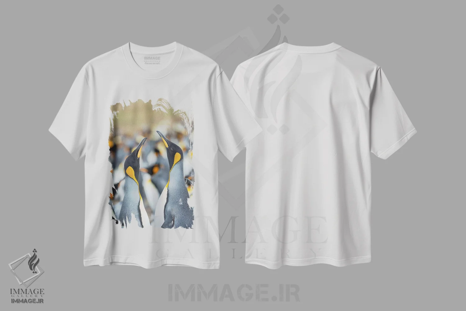 تیشرت سفید طرح دار – تیشرت حیات وحش ,Falkland Islands.,پنگوئن شاه، جزایر فالکلند اثر مارتین زویک فروشگاه ایماژ