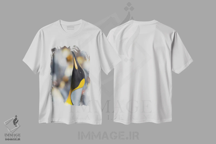 تیشرت سفید طرح دار – تیشرت حیوانات ,Falkland Islands.,پنگوئن شاه، جزایر فالکلند اثر مارتین زویک immage.ir