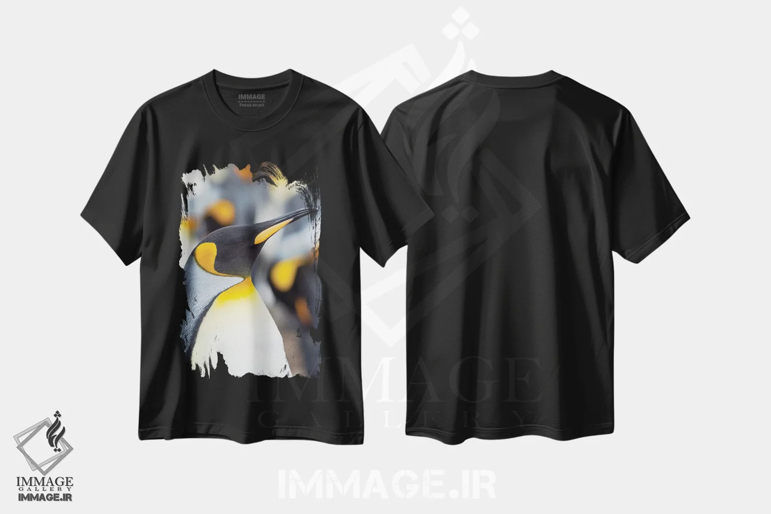 تیشرت مشکی طرح دار – تیشرت حیوانات ,Falkland Islands.,پنگوئن شاه، جزایر فالکلند اثر مارتین زویک فروشگاه ایماژ