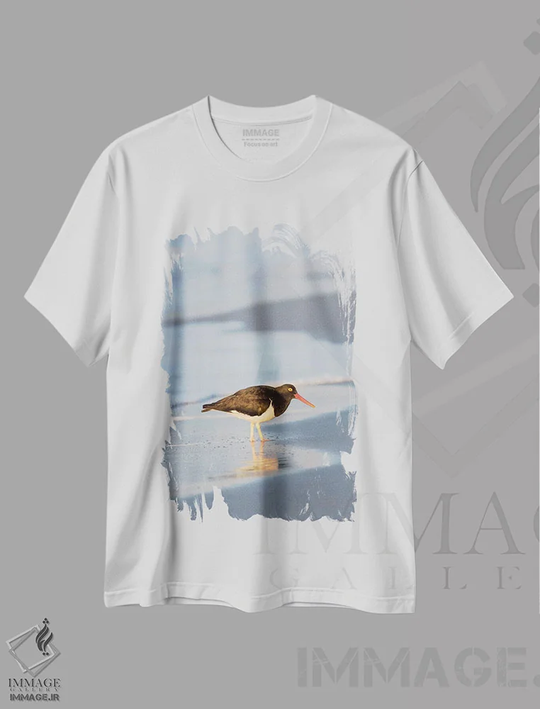 تیشرت سفید طرح دار – تیشرت حیوانات ,Sea Lion Island, Falkland Islands.,صدف خوار ماژلانی، جزیره سی لایون، جزایر فالکلند اثر مارتین زویک فروشگاه ایماژ