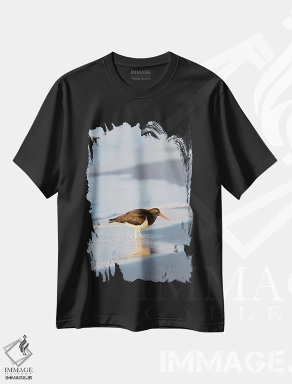 تیشرت مشکی طرح دار – تیشرت حیوانات ,Sea Lion Island, Falkland Islands.,صدف خوار ماژلانی، جزیره سی لایون، جزایر فالکلند اثر مارتین زویک immage.ir