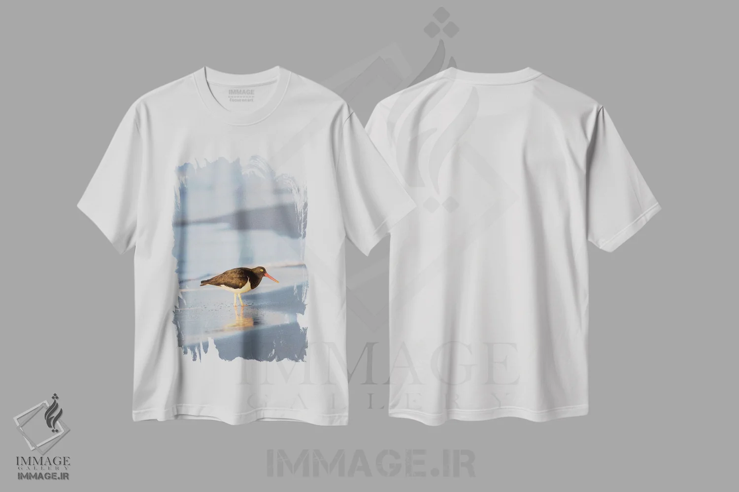 تیشرت سفید طرح دار – تیشرت حیوانات ,Sea Lion Island, Falkland Islands.,صدف خوار ماژلانی، جزیره سی لایون، جزایر فالکلند اثر مارتین زویک فروشگاه ایماژ