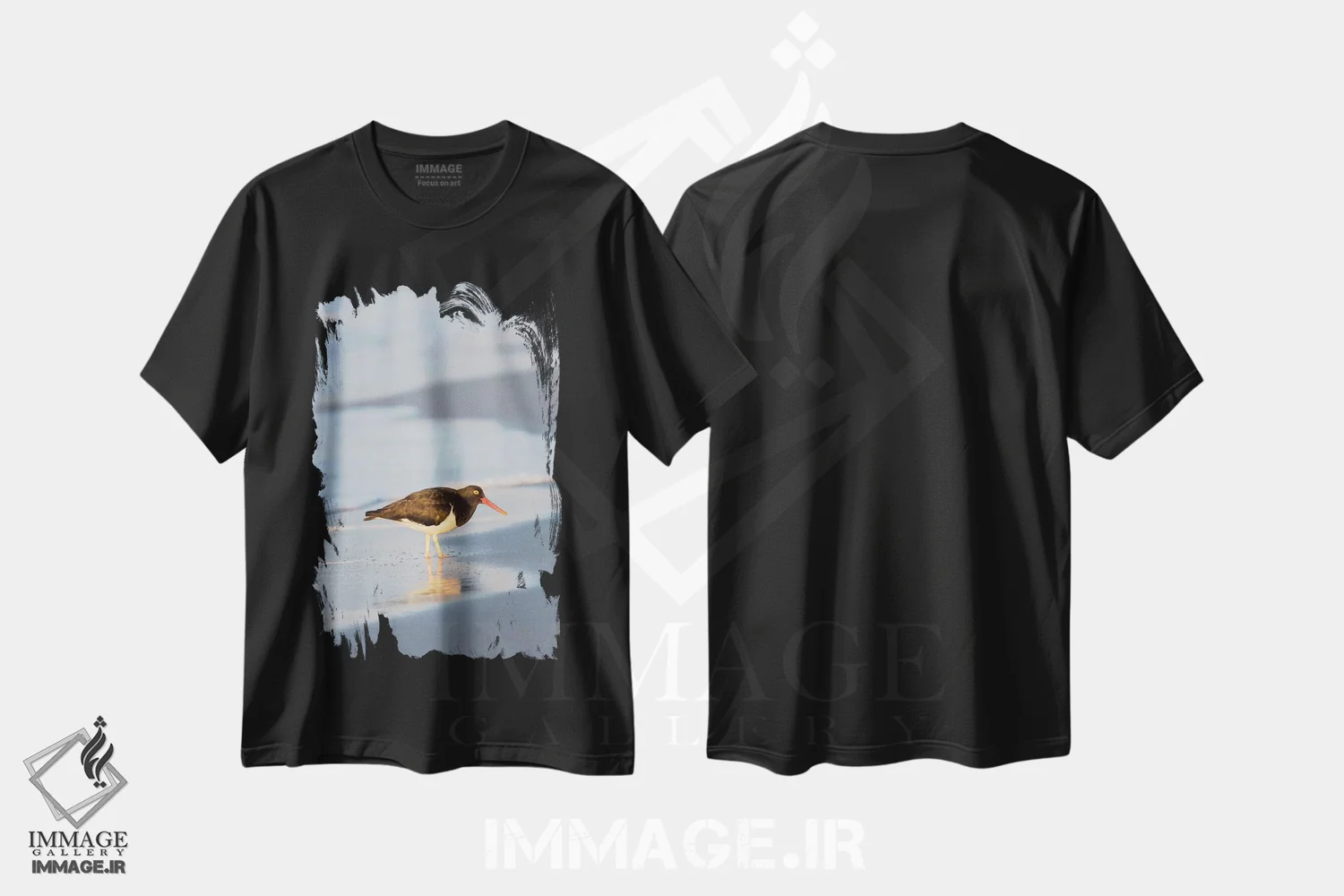 تیشرت مشکی طرح دار – تیشرت حیوانات ,Sea Lion Island, Falkland Islands.,صدف خوار ماژلانی، جزیره سی لایون، جزایر فالکلند اثر مارتین زویک immage.ir