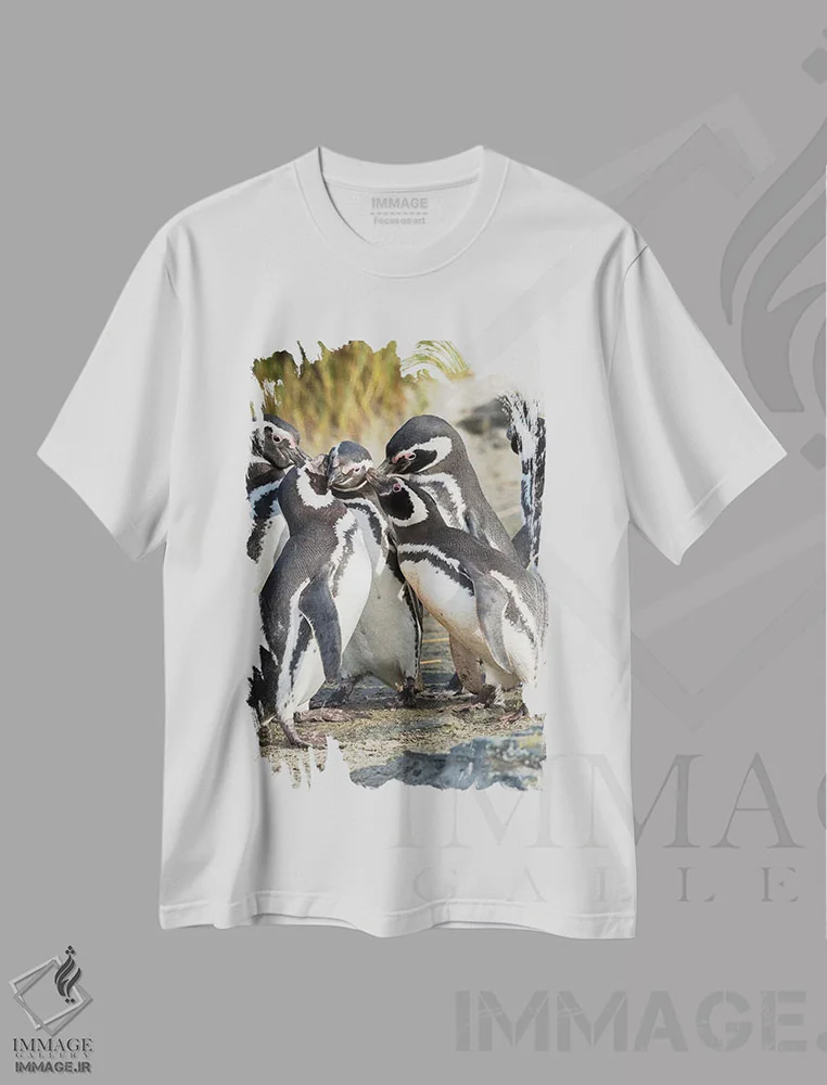 تیشرت سفید طرح دار – تیشرت حیوانات ,Falkland Islands.,تعامل اجتماعی و رفتار گروهی پنگوئن های ماژلانی، جزایر فالکلند اثر مارتین زویک فروشگاه ایماژ