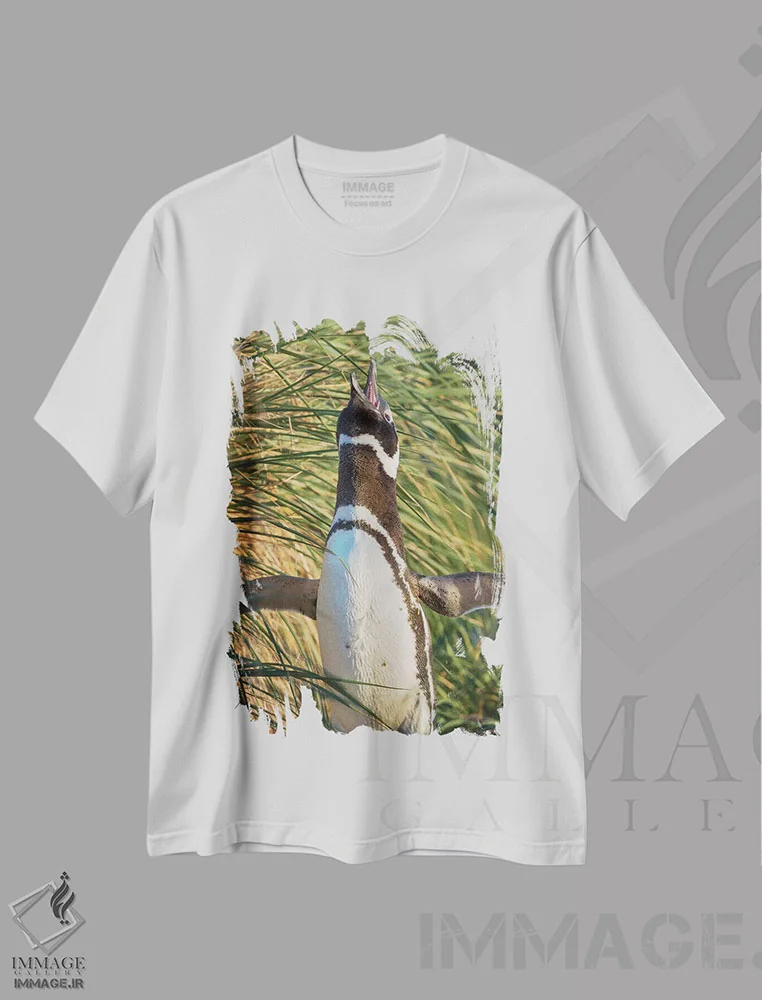 تیشرت سفید طرح دار – تیشرت حیوانات ,Falkland Islands.,پنگوئن ماژلانی، جزایر فالکلند اثر مارتین زویک immage.ir