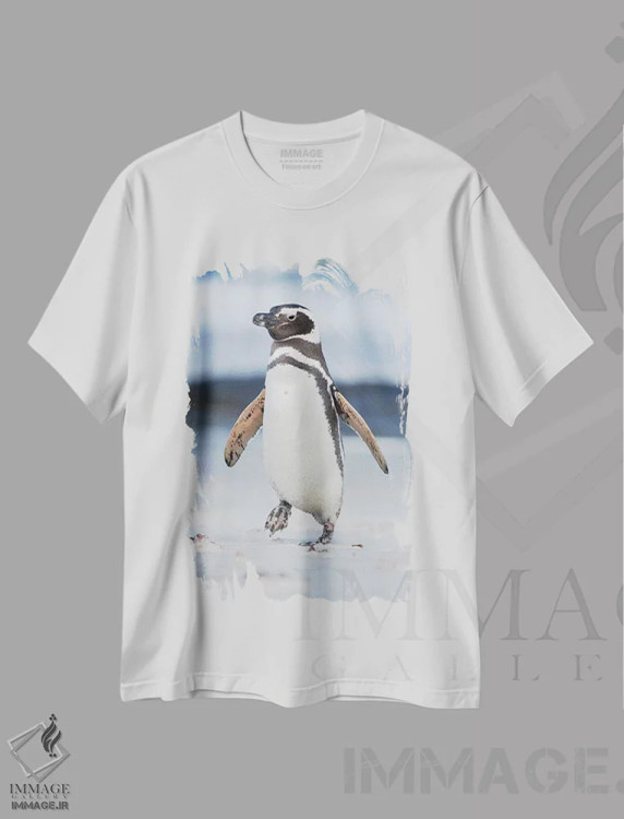 تیشرت سفید طرح دار – تیشرت طبیعت ,Falkland Islands.,پنگوئن ماژلانی، جزایر فالکلند اثر مارتین زویک فروشگاه ایماژ