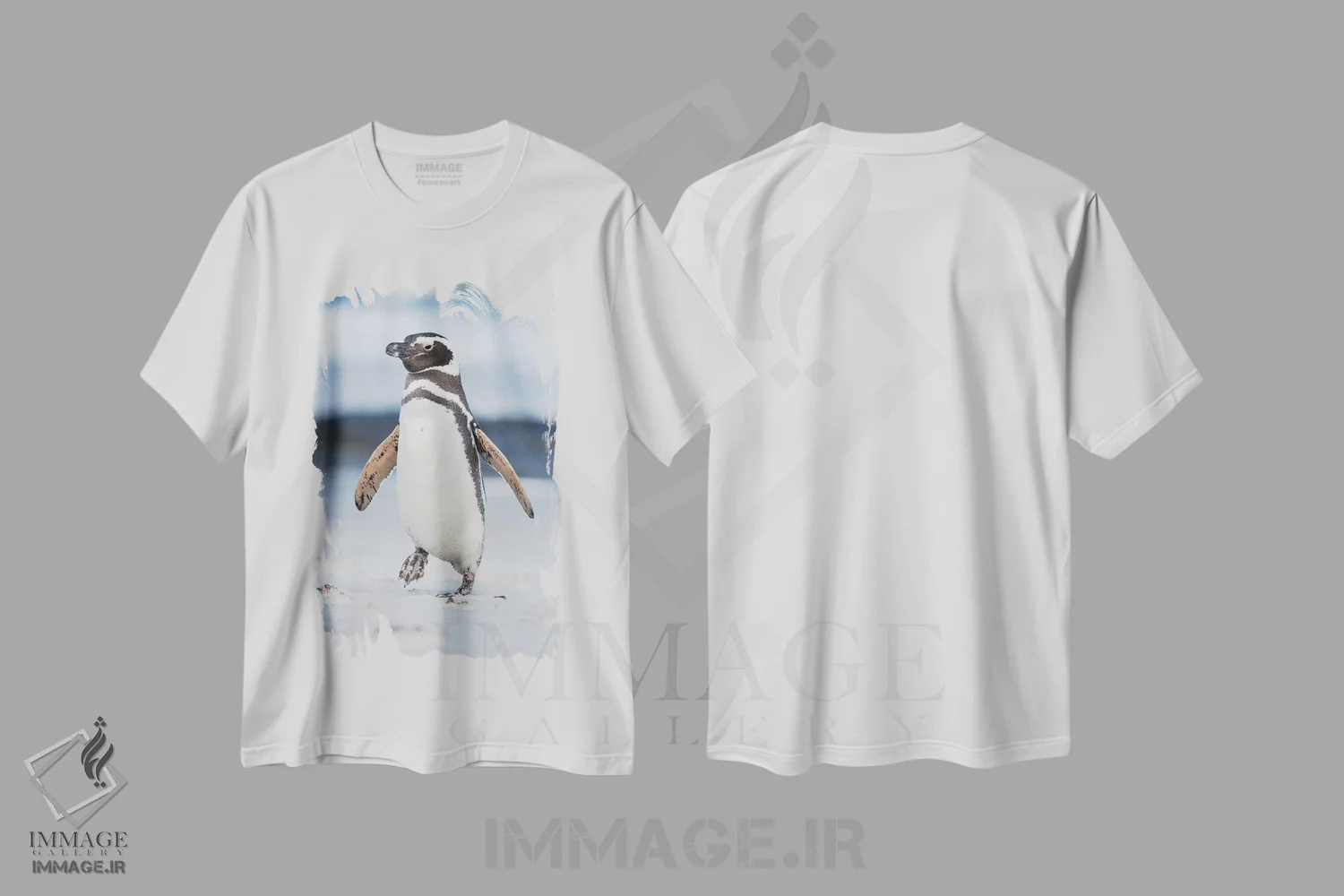 تیشرت سفید طرح دار – تیشرت طبیعت ,Falkland Islands.,پنگوئن ماژلانی، جزایر فالکلند اثر مارتین زویک فروشگاه ایماژ