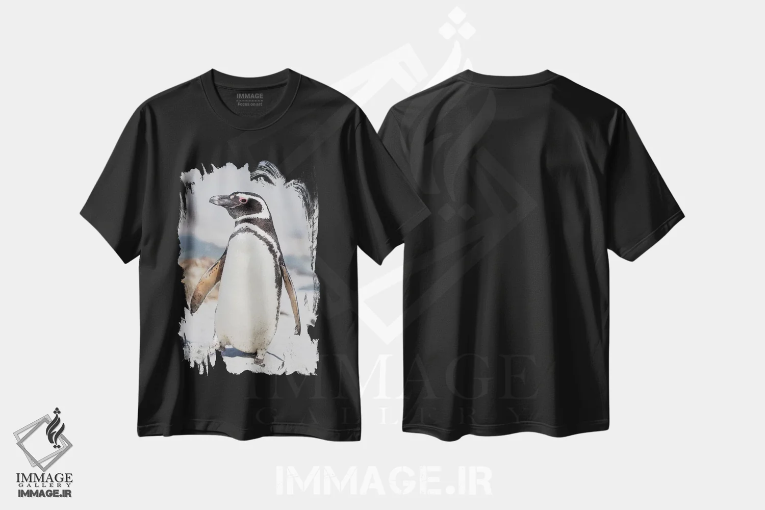 تیشرت مشکی طرح دار – تیشرت حیوانات ,Falkland Islands.,پنگوئن ماژلانی، جزایر فالکلند اثر مارتین زویک immage.ir