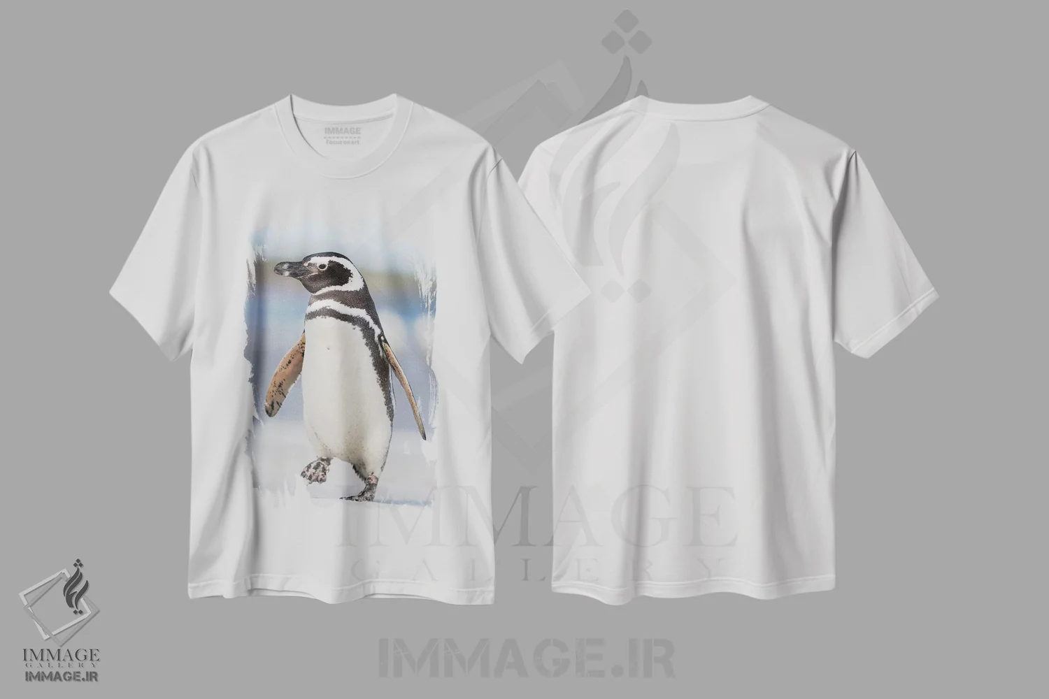 تیشرت سفید طرح دار – تیشرت حیوانات ,Falkland Islands.,پنگوئن ماژلانی، جزایر فالکلند اثر مارتین زویک فروشگاه ایماژ