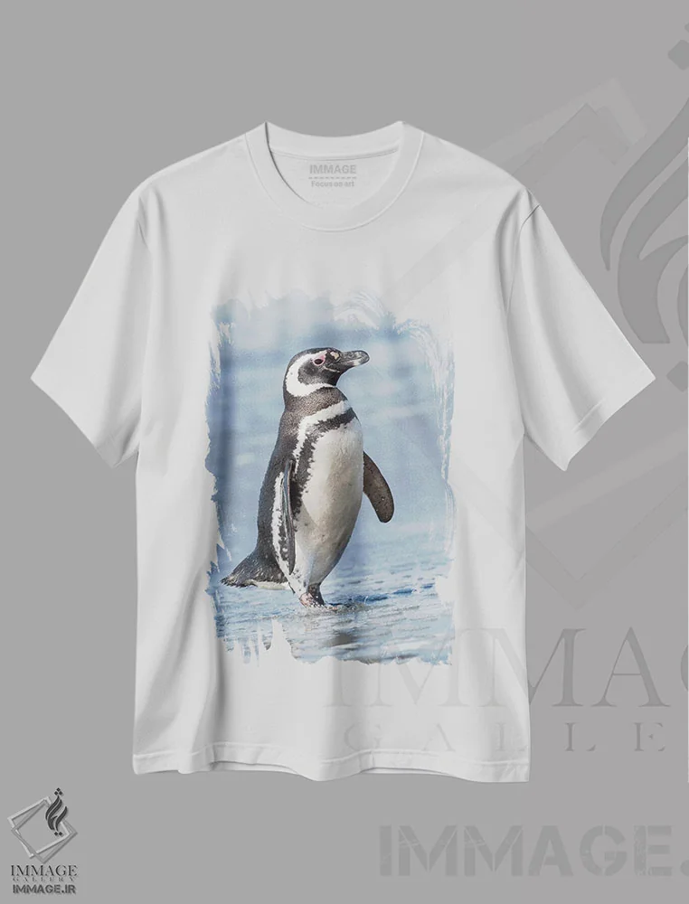 تیشرت سفید طرح دار – تیشرت طبیعت ,Falkland Islands.,پنگوئن ماژلانی، جزایر فالکلند اثر مارتین زویک فروشگاه ایماژ