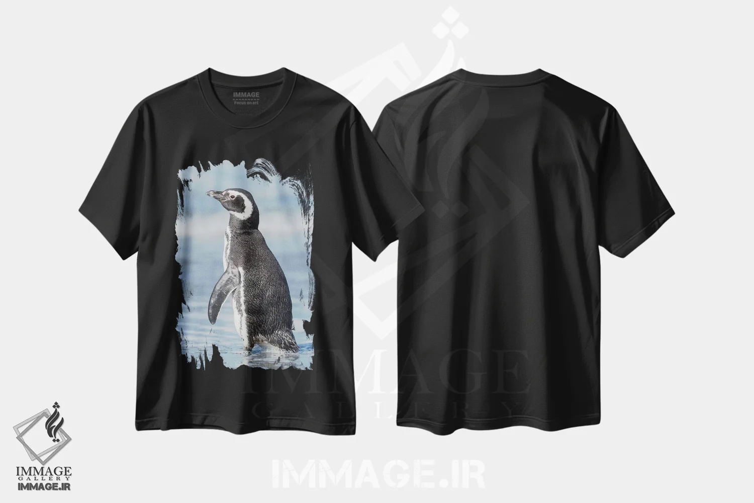 تیشرت مشکی طرح دار – تیشرت طبیعت ,Falkland Islands.,پنگوئن ماژلانی، جزایر فالکلند اثر مارتین زویک فروشگاه ایماژ
