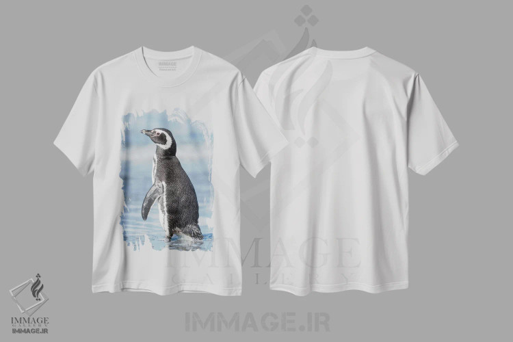تیشرت سفید طرح دار – تیشرت طبیعت ,Falkland Islands.,پنگوئن ماژلانی، جزایر فالکلند اثر مارتین زویک immage.ir