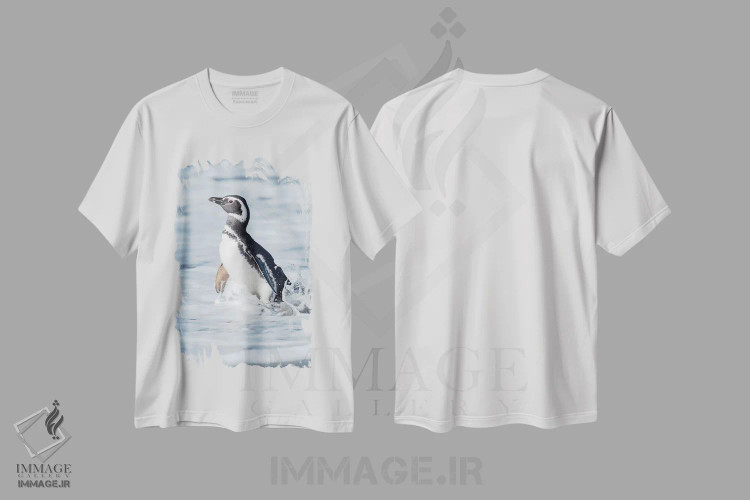 تیشرت سفید طرح دار – تیشرت طبیعت ,Falkland Islands.,پنگوئن ماژلانی، جزایر فالکلند اثر مارتین زویک immage.ir
