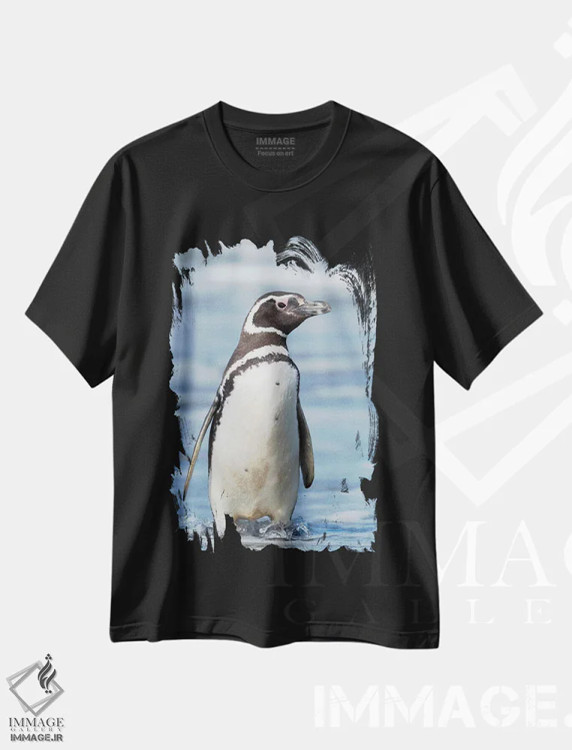 تیشرت مشکی طرح دار – تیشرت طبیعت ,Falkland Islands.,پنگوئن ماژلانی، جزایر فالکلند اثر مارتین زویک immage.ir
