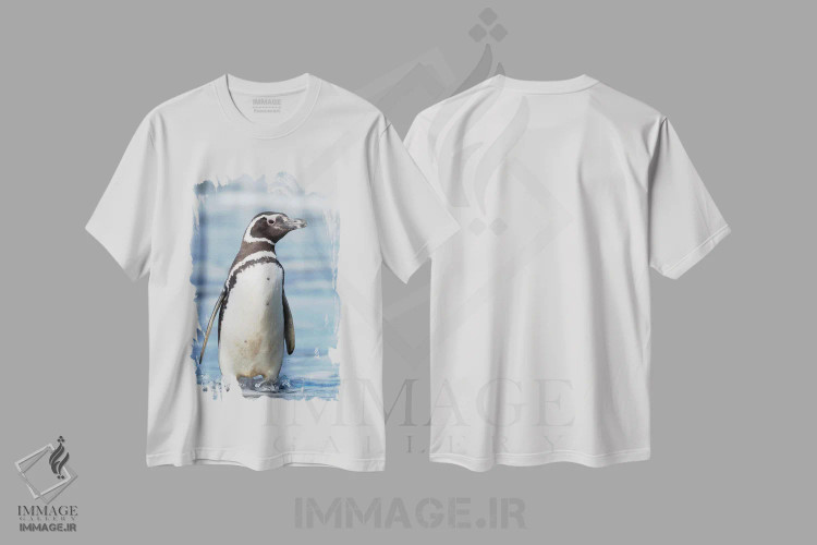 تیشرت سفید طرح دار – تیشرت طبیعت ,Falkland Islands.,پنگوئن ماژلانی، جزایر فالکلند اثر مارتین زویک فروشگاه ایماژ