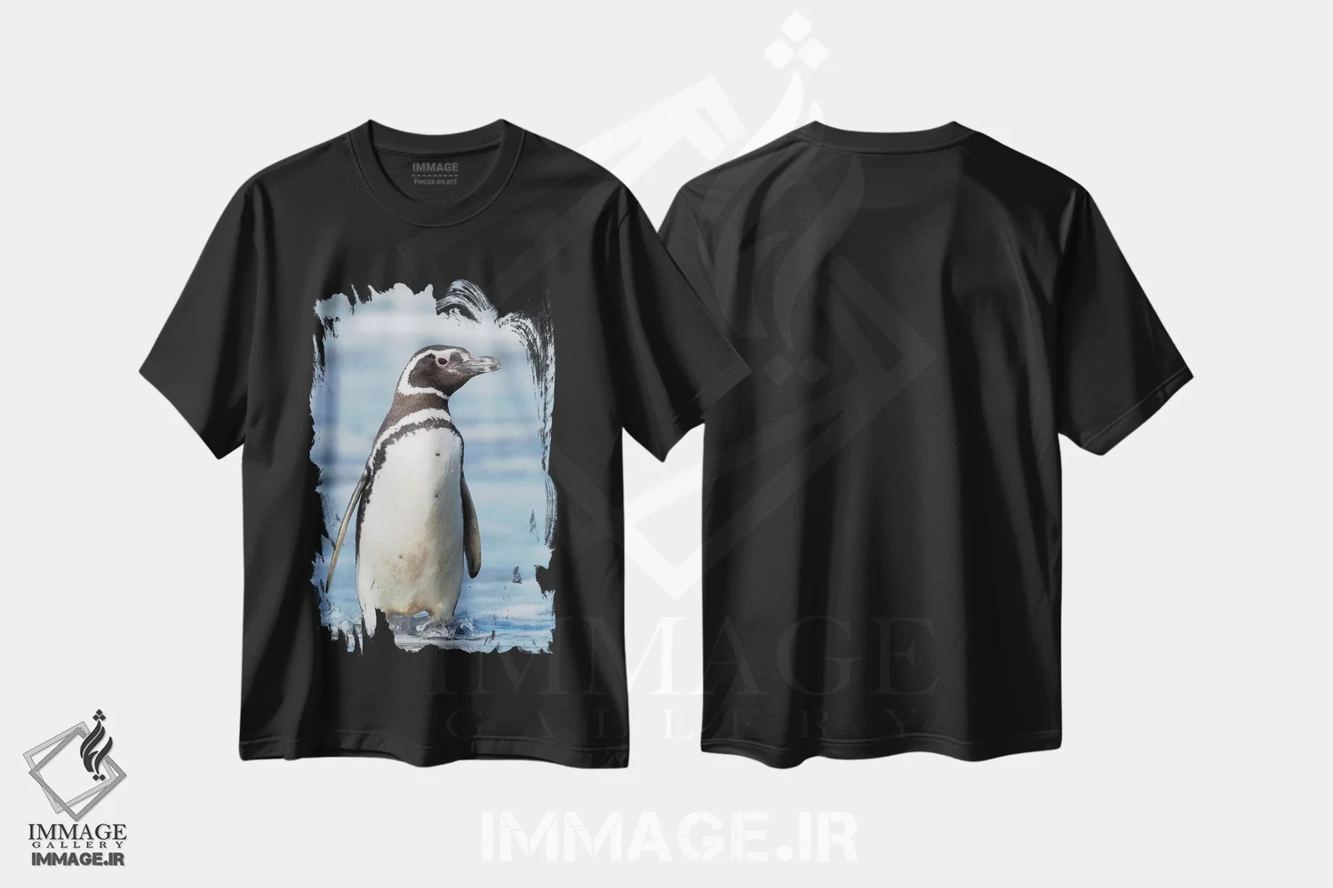 تیشرت مشکی طرح دار – تیشرت طبیعت ,Falkland Islands.,پنگوئن ماژلانی، جزایر فالکلند اثر مارتین زویک immage.ir