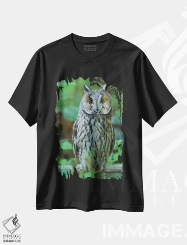 تیشرت مشکی طرح دار – تیشرت طبیعت ,Germany, Bavaria,جغد گوش دراز. در محوطه پارک ملی جنگل باواریا، بایرن، آلمان اثر مارتین زویک فروشگاه ایماژ