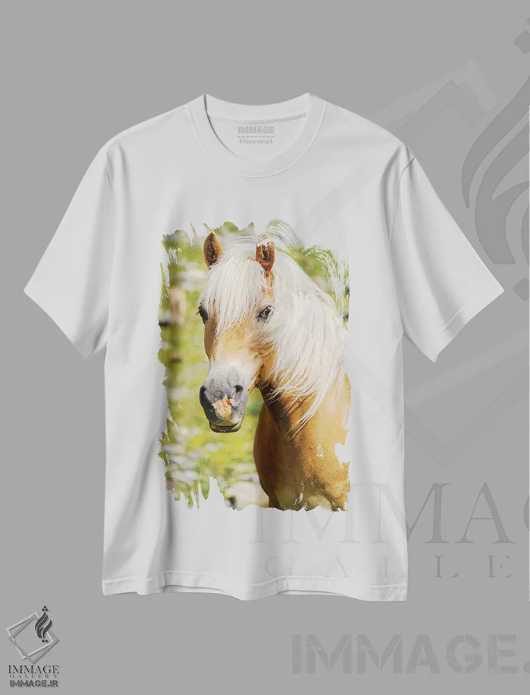 تیشرت سفید طرح دار – تیشرت حیوانات ,Rotmoostal) Austria, Tyrol III,اسب هافلینگر در چراگاه کوهستانی خود در کوه های اوتزالاتریش، تیرول III اثر مارتین زویک فروشگاه ایماژ
