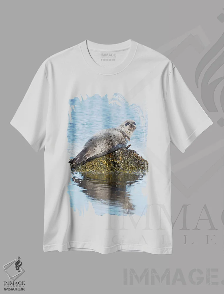 تیشرت سفید طرح دار – تیشرت حیوانات دریایی ,Iceland,فک بندری در نزدیکی دیوپاویک در ایسلند، وِستفیوردز، منطقهٔ استراندیر، اروپا، ایسلند اثر مارتین زویک immage.ir