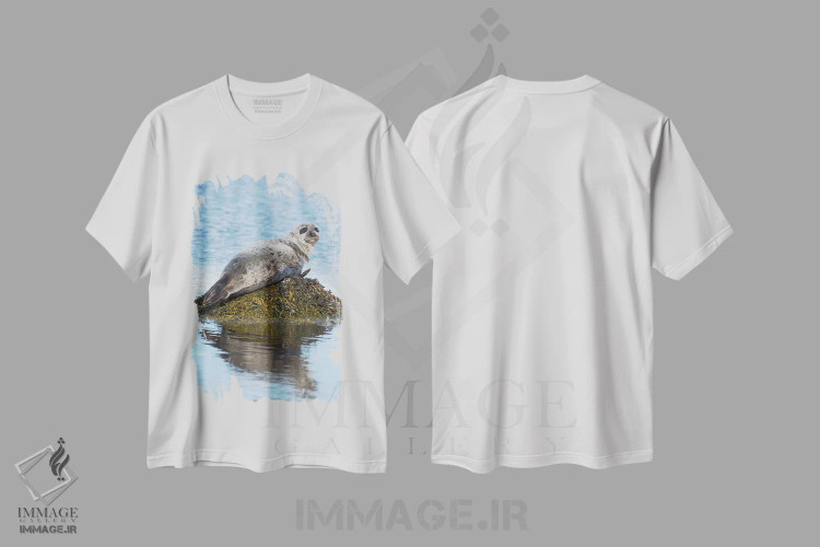 تیشرت سفید طرح دار – تیشرت حیوانات دریایی ,Iceland,فک بندری در نزدیکی دیوپاویک در ایسلند، وِستفیوردز، منطقهٔ استراندیر، اروپا، ایسلند اثر مارتین زویک immage.ir