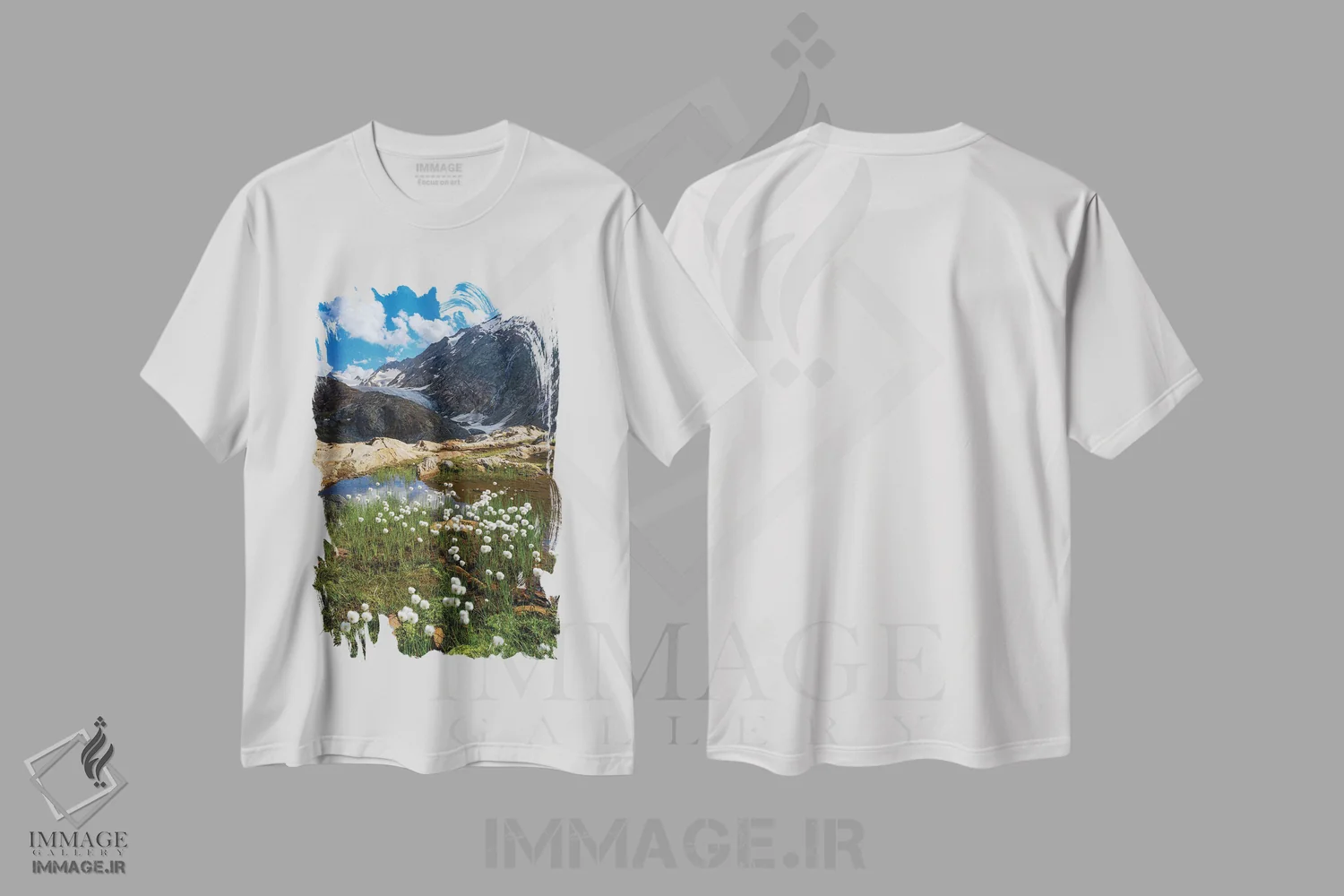 تیشرت سفید طرح دار – تیشرت منظره ,Austria, Tyrol,علف پنبه ای سفید در مقابل یخچال گورگلر در دره اوتزال آلپ، پارک طبیعی اوتزال، اروپا، اتریش، تیرول اثر مارتین زویک immage.ir