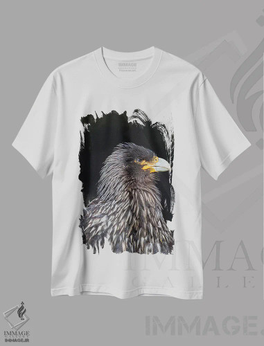 تیشرت سفید طرح دار – تیشرت حیوانات ,protected and highly intelligent bird of prey. Falkland Islands,کاراکارای فالکلند یا جانی رووک، پرنده شکاری حفاظت شده و بسیار باهوش. جزایر فالکلند اثر مارتین زویک فروشگاه ایماژ