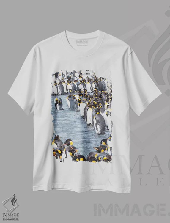 تیشرت سفید طرح دار – تیشرت طبیعت ,کلونی پنگوئن شاهی در خلیج سنت اندروز. پرندگان بالغ در حال تعویض پر. جزیره جورجیای جنوبی اثر مارتین زویک فروشگاه ایماژ