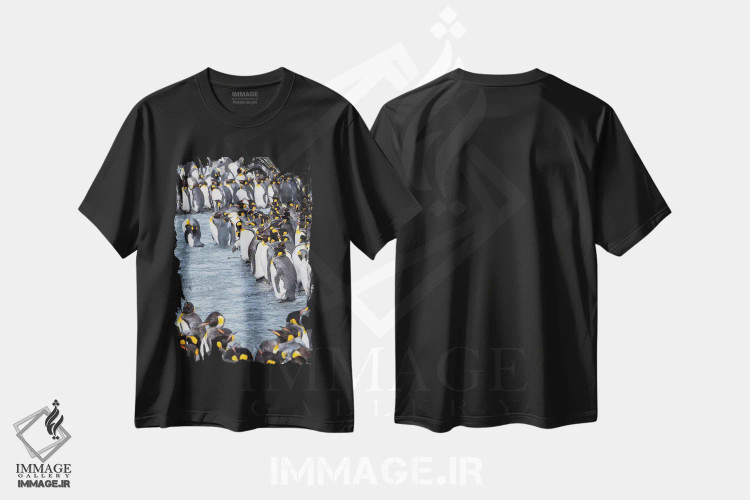 تیشرت مشکی طرح دار – تیشرت طبیعت ,کلونی پنگوئن شاهی در خلیج سنت اندروز. پرندگان بالغ در حال تعویض پر. جزیره جورجیای جنوبی اثر مارتین زویک immage.ir
