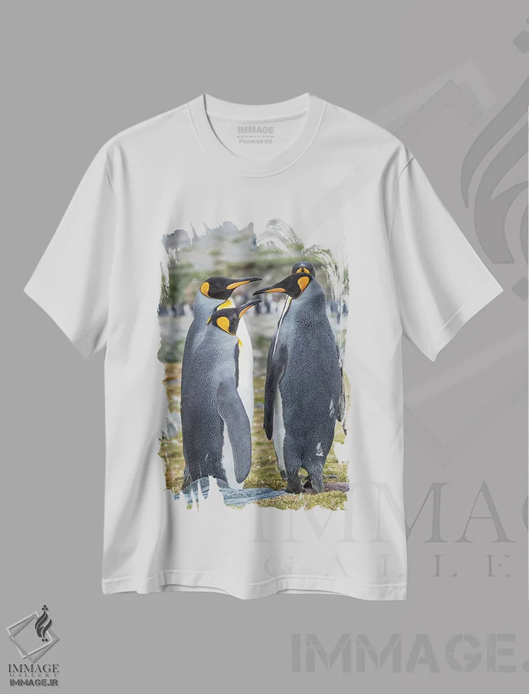 تیشرت سفید طرح دار – تیشرت حیوانات ,کلونی پنگوئن شاهی در خلیج سنت اندروز. رفتار خواستگاری. جزیره جورجیای جنوبی اثر مارتین زویک immage.ir