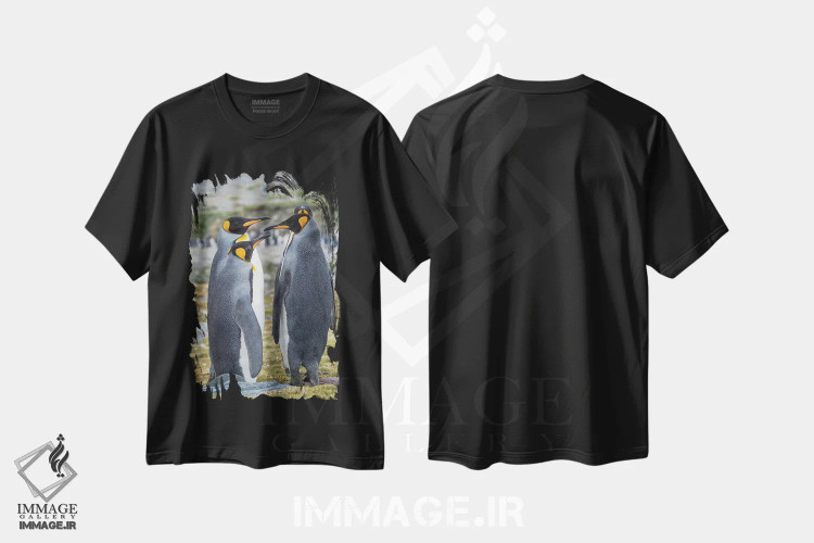 تیشرت مشکی طرح دار – تیشرت حیوانات ,کلونی پنگوئن شاهی در خلیج سنت اندروز. رفتار خواستگاری. جزیره جورجیای جنوبی اثر مارتین زویک فروشگاه ایماژ