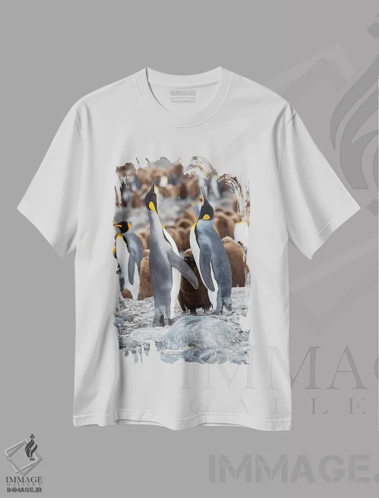 تیشرت سفید طرح دار – تیشرت طبیعت ,کلونی پنگوئن شاهی در خلیج سنت اندروز. رفتار تغذیه. جزیره جورجیای جنوبی اثر مارتین زویک فروشگاه ایماژ